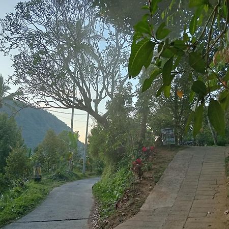 Jepun Homestay Lemukih Singaraja Exterior foto
