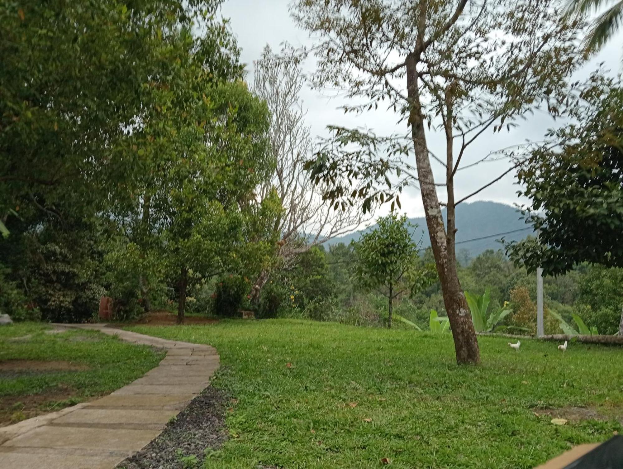 Jepun Homestay Lemukih Singaraja Exterior foto